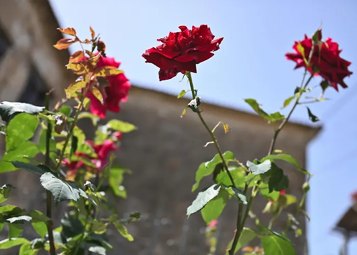 ιkia Zmas 度假居 阿尔加拉斯蒂