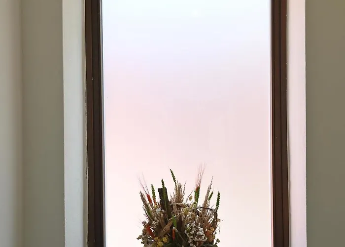 ιkia Zmas 度假居 *